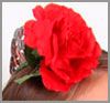 Flor flamenca roja